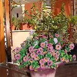 Apartmán Al Vicoletto