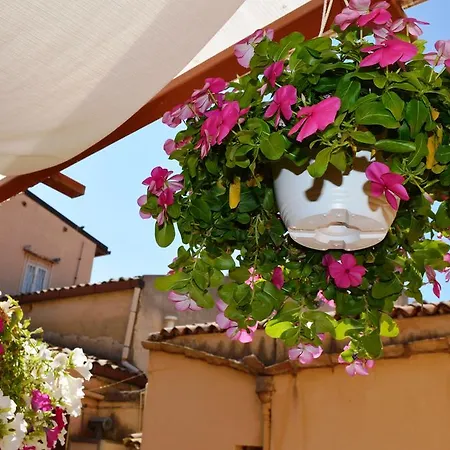 Appartamento Al Vicoletto *