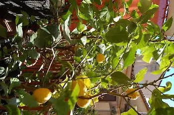 Appartamento Al Vicoletto Agrigento